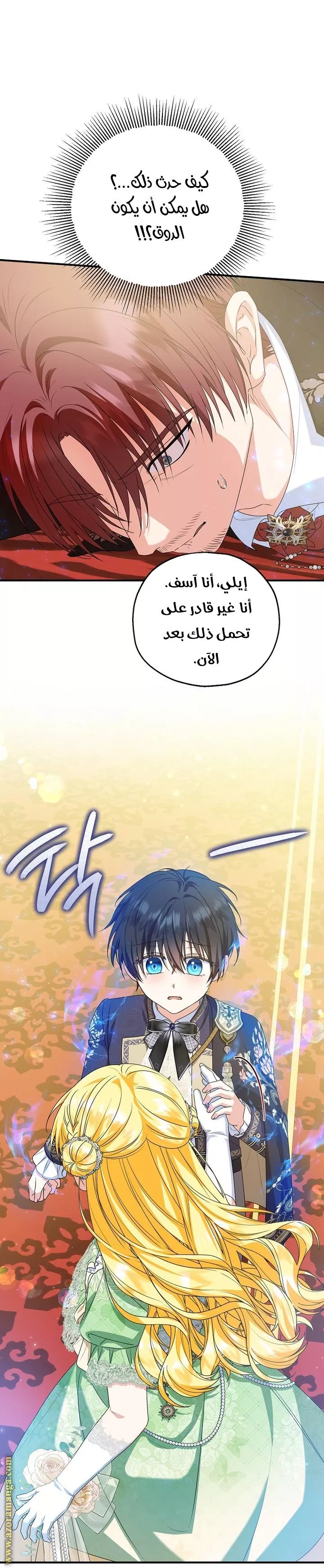 الصفحة 25