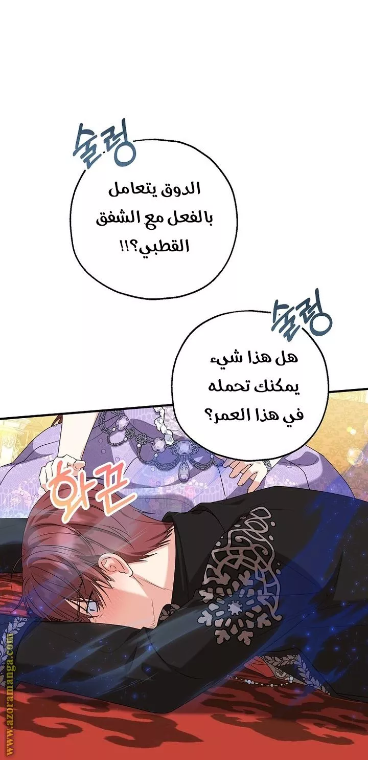 الصفحة 29