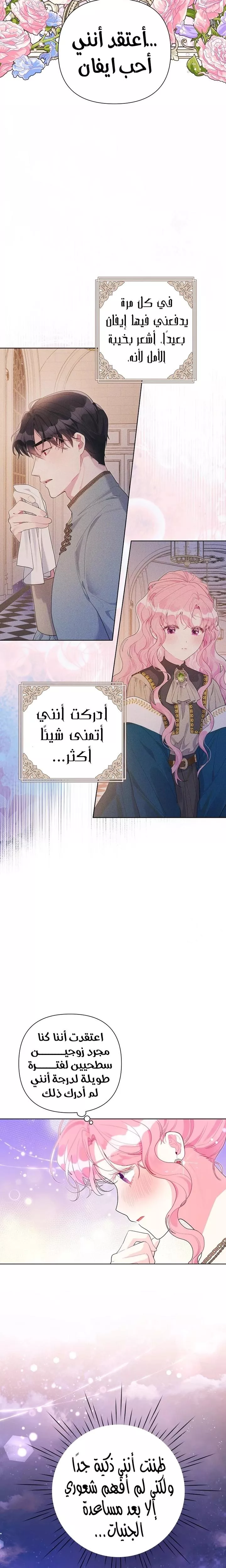 الصفحة 19