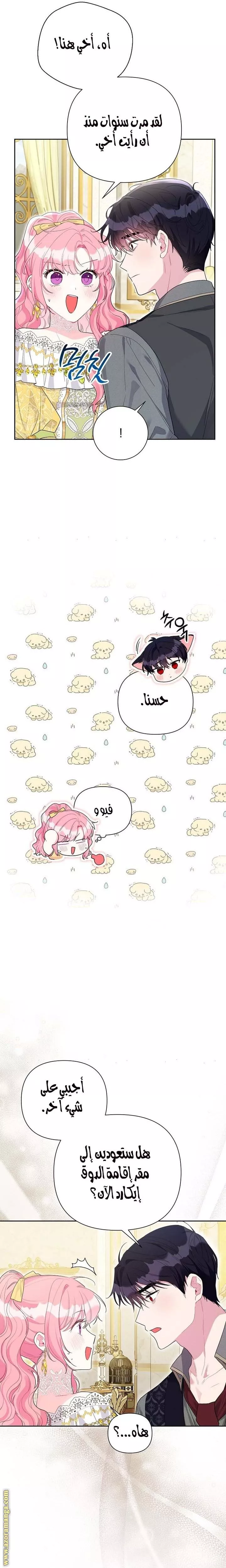الصفحة 17