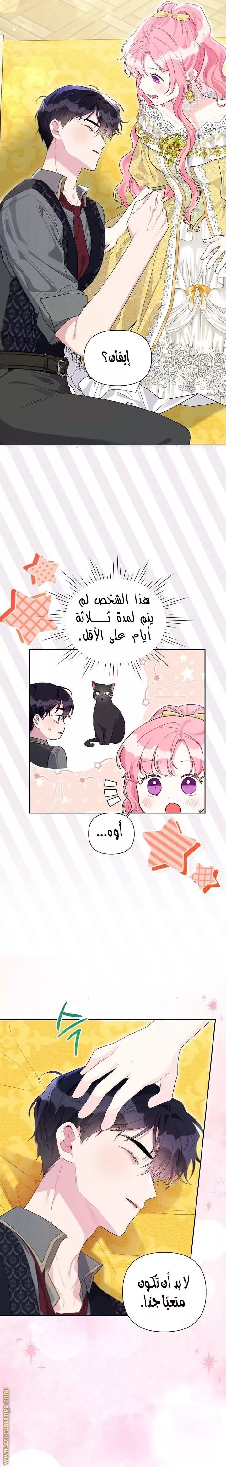 الصفحة 19