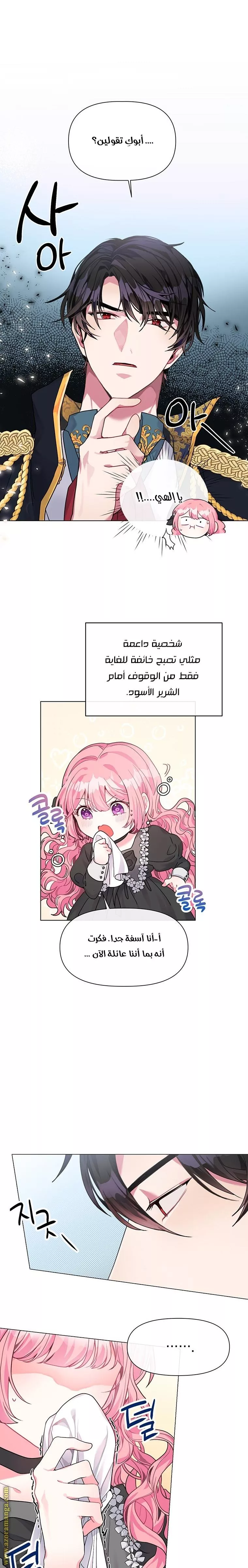 الصفحة 13