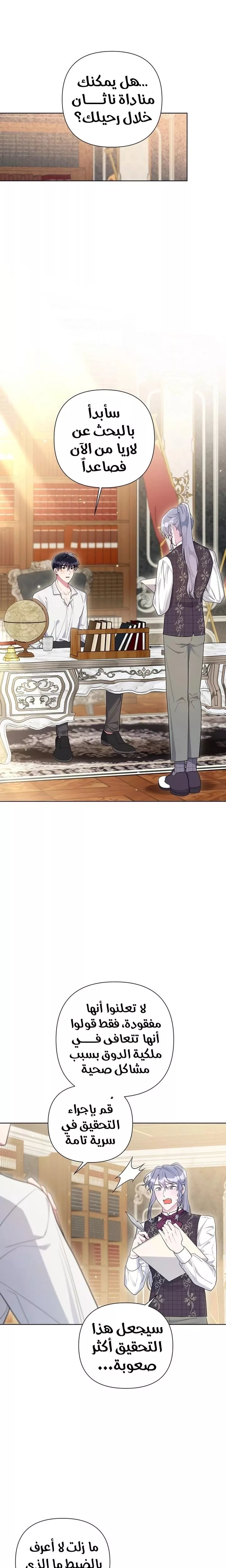 الصفحة 17