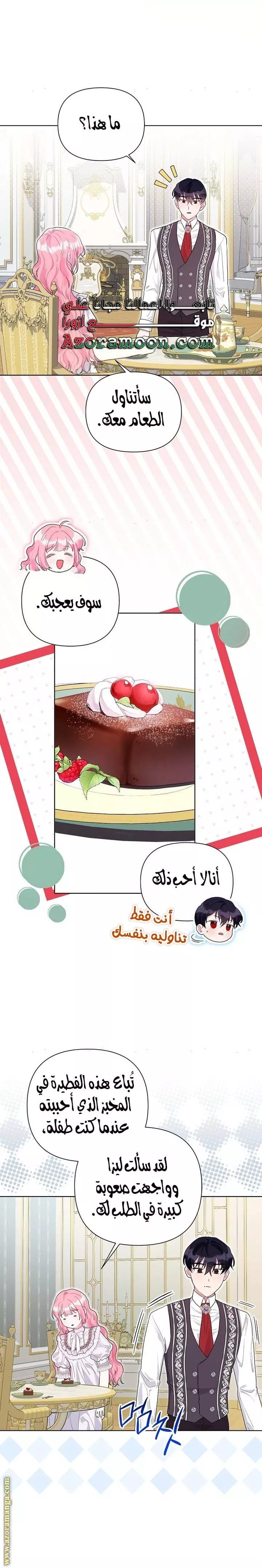 الصفحة 17