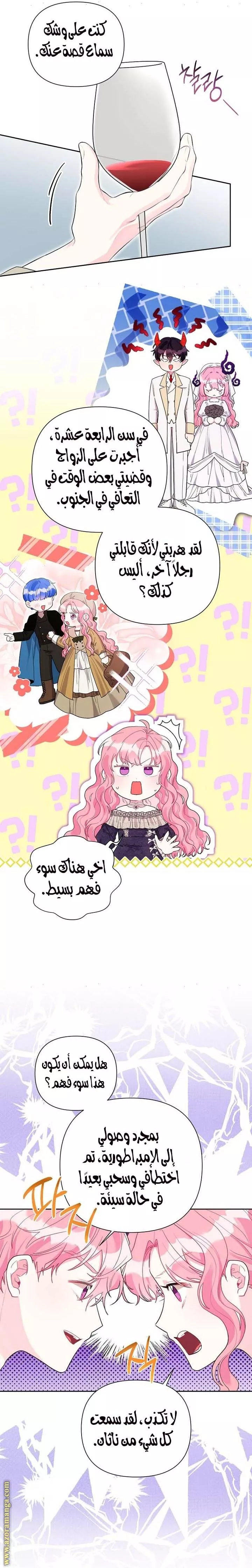 الصفحة 12