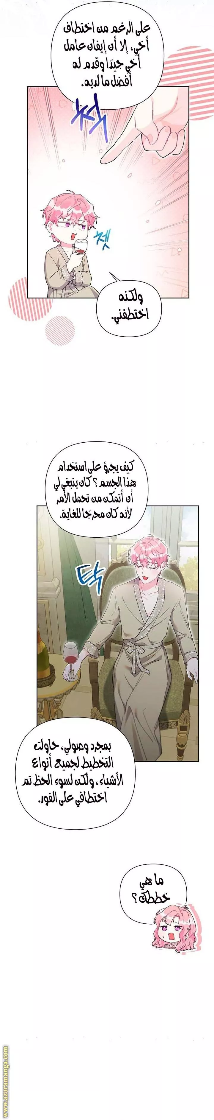 الصفحة 13