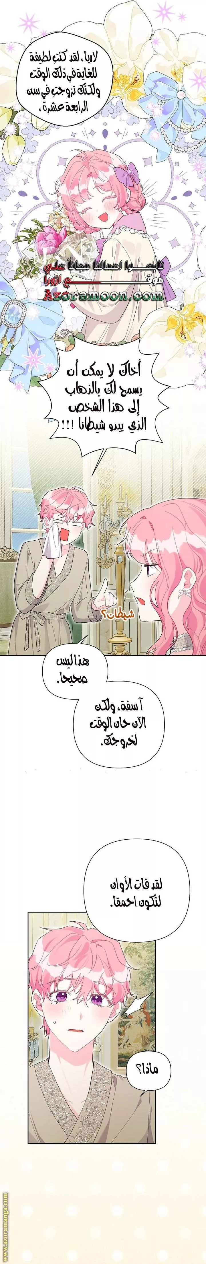 الصفحة 17