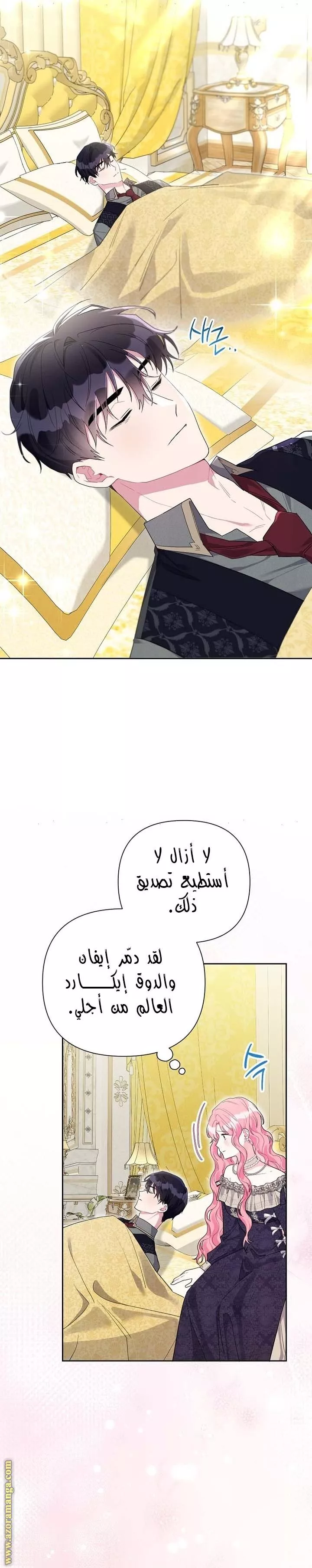 الصفحة 21