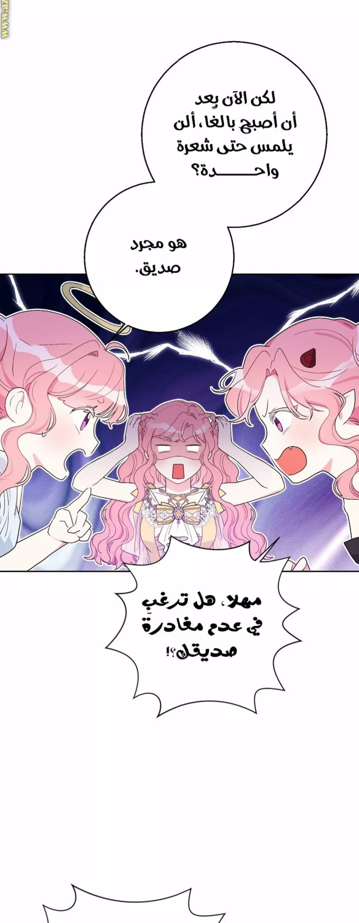 الصفحة 21