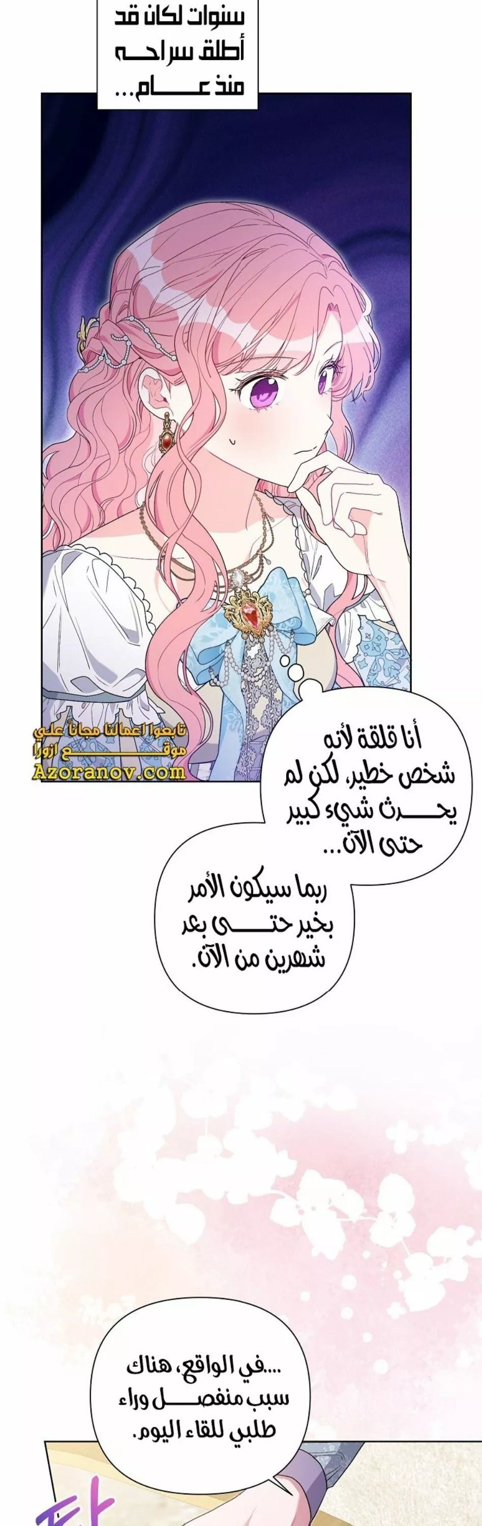 الصفحة 13
