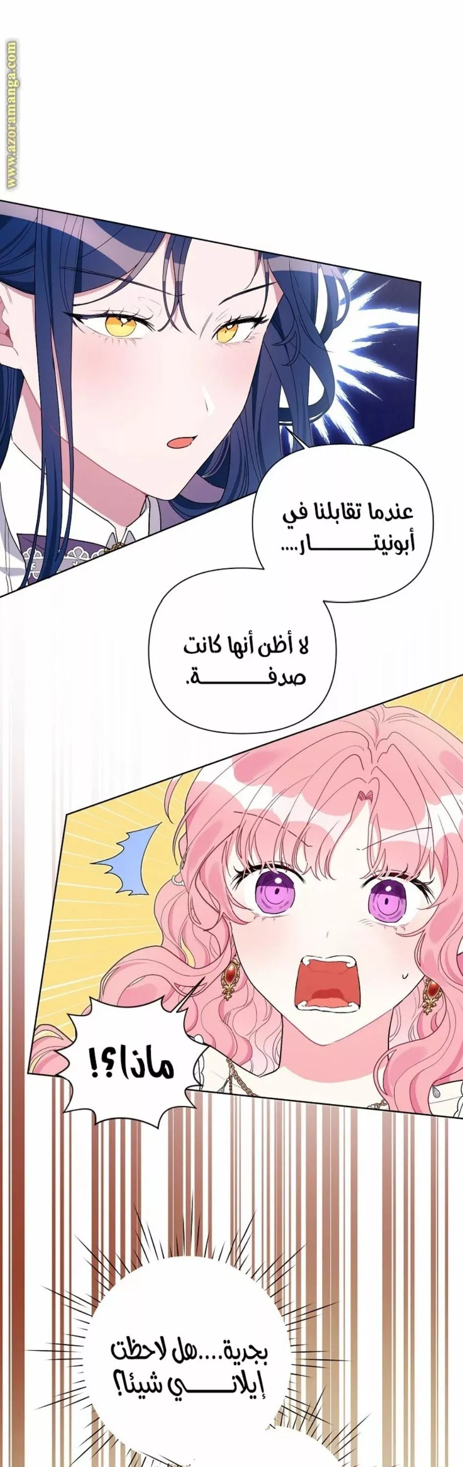 الصفحة 40