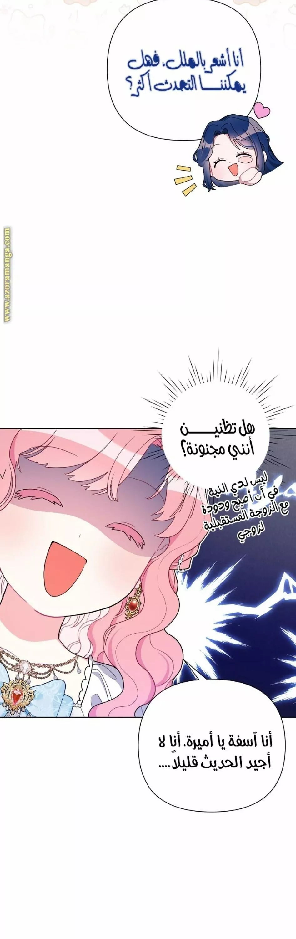 الصفحة 3