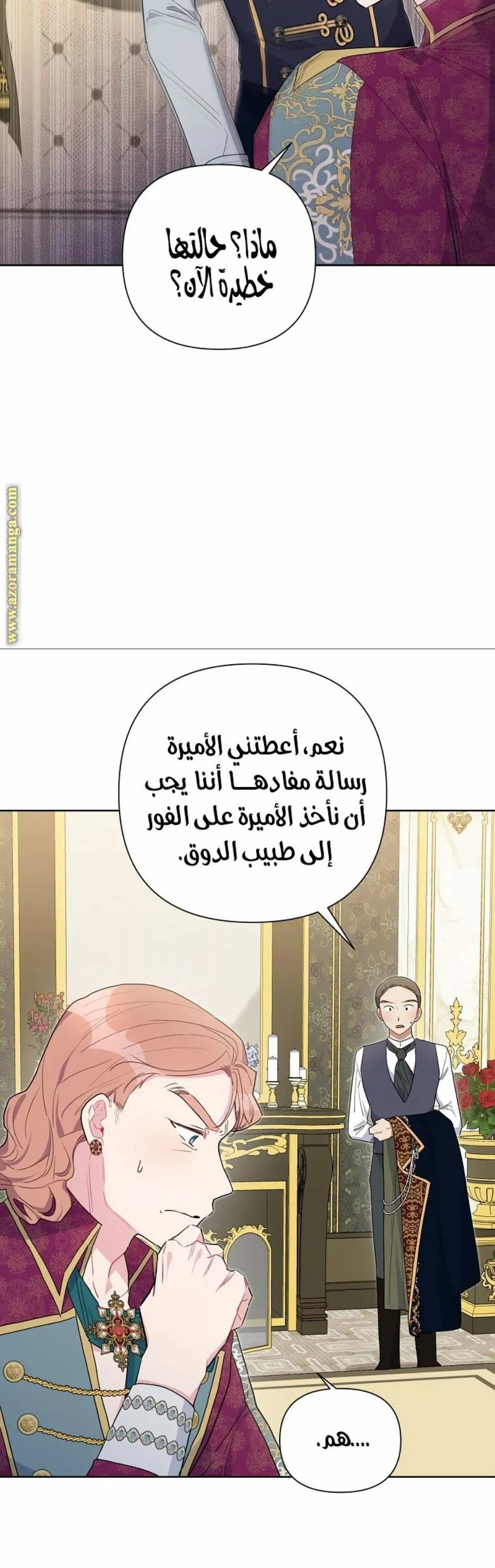 الصفحة 27