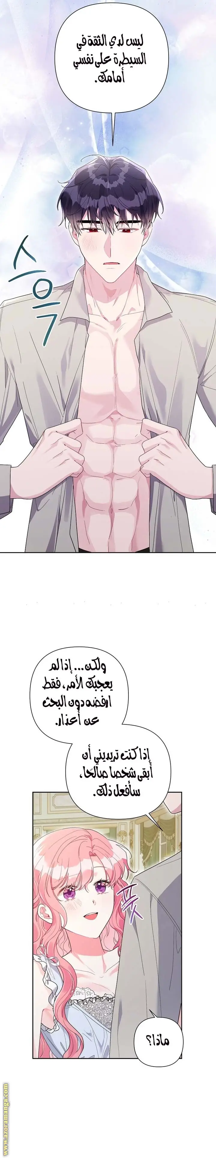 الصفحة 17