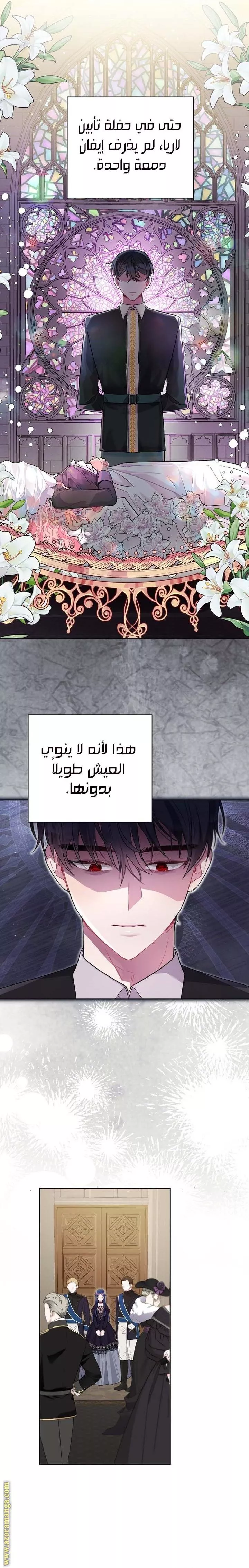 الصفحة 13