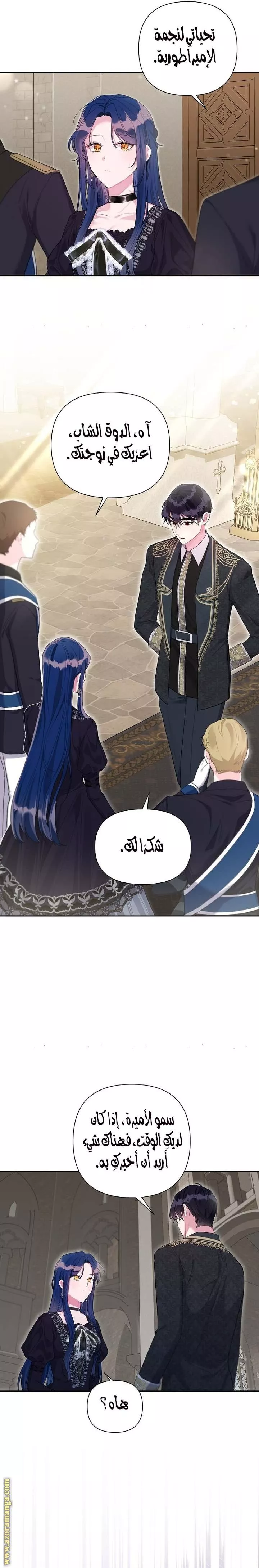الصفحة 14