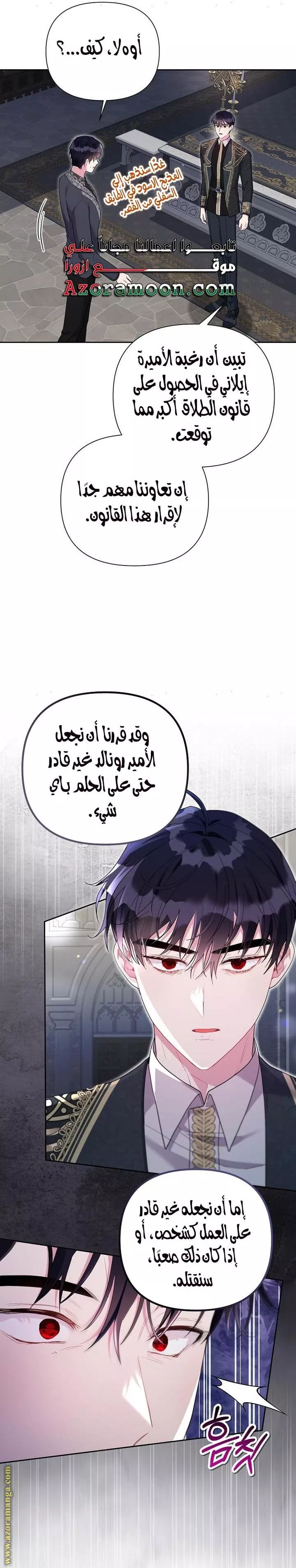 الصفحة 17