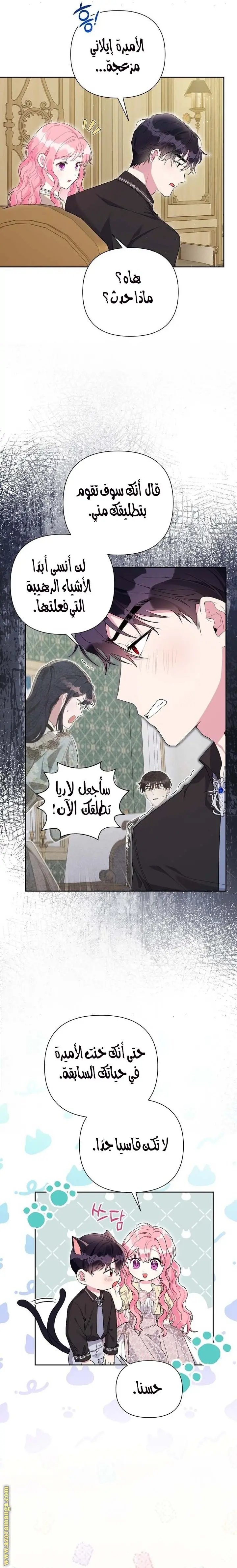 الصفحة 17