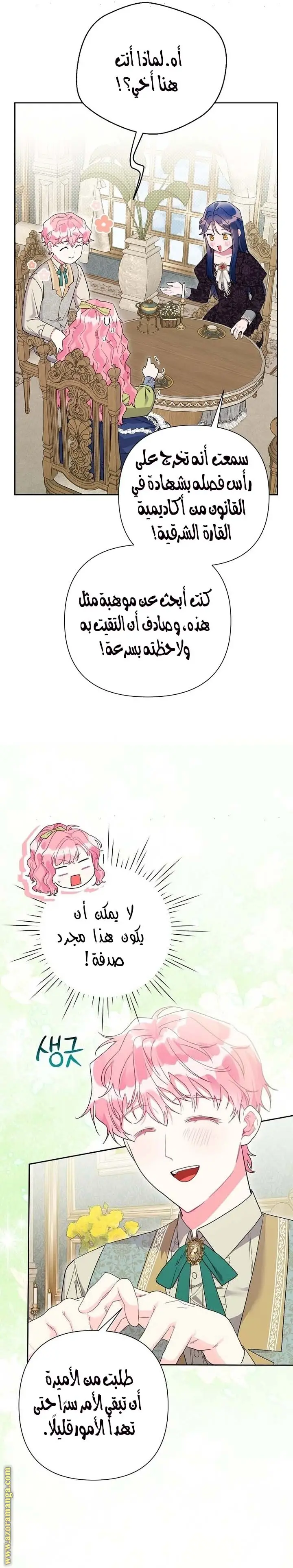 الصفحة 22