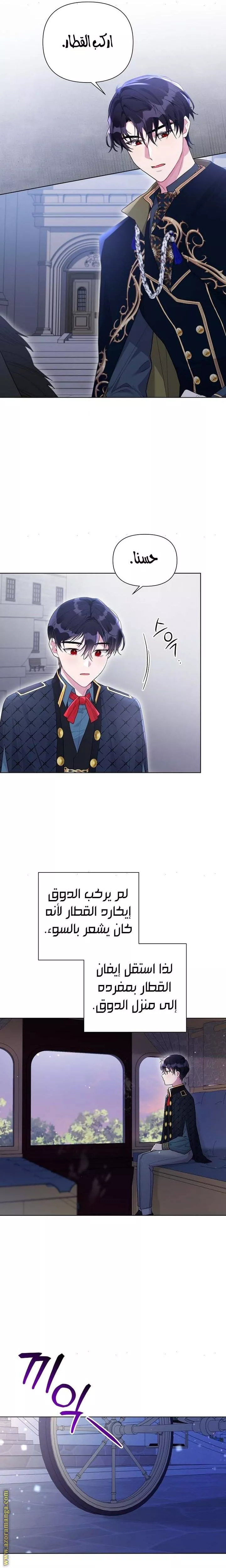الصفحة 17