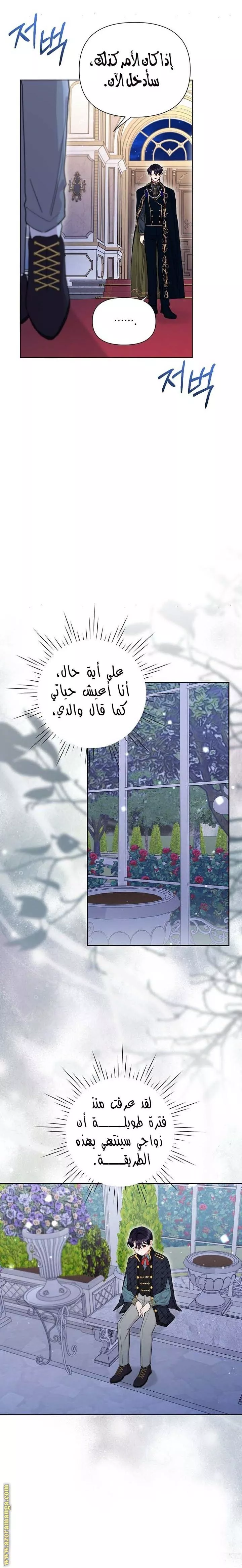 الصفحة 20