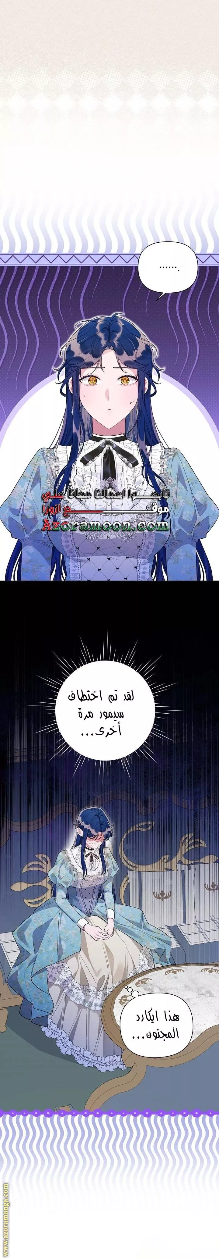 الصفحة 13