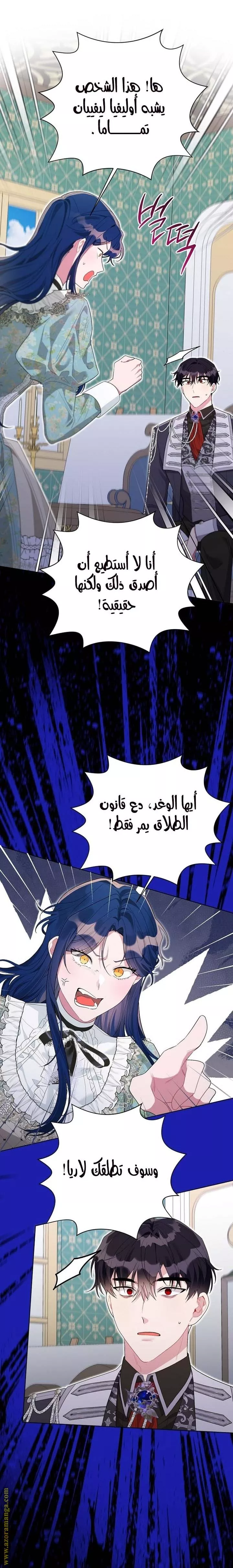 الصفحة 21