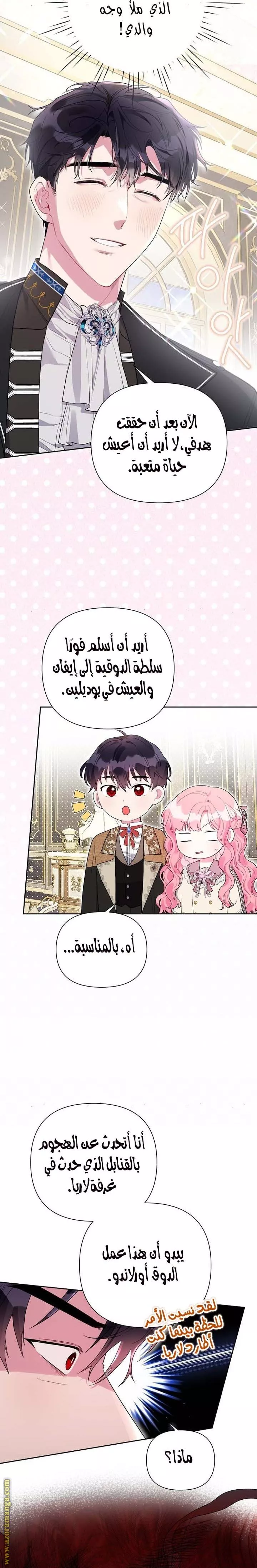 الصفحة 17