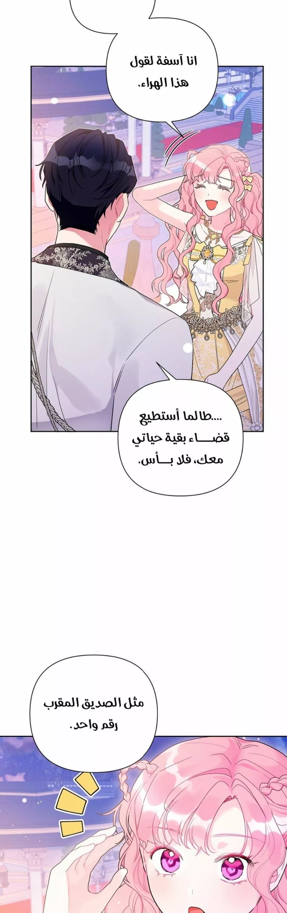 الصفحة 41