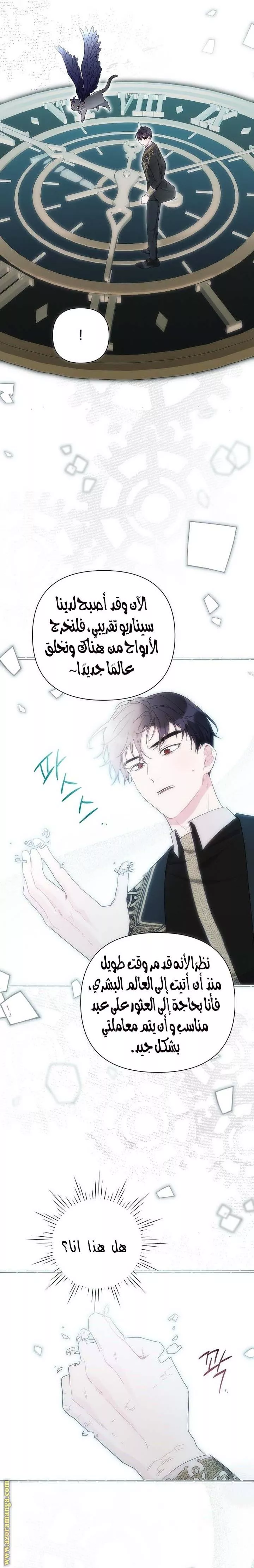 الصفحة 21