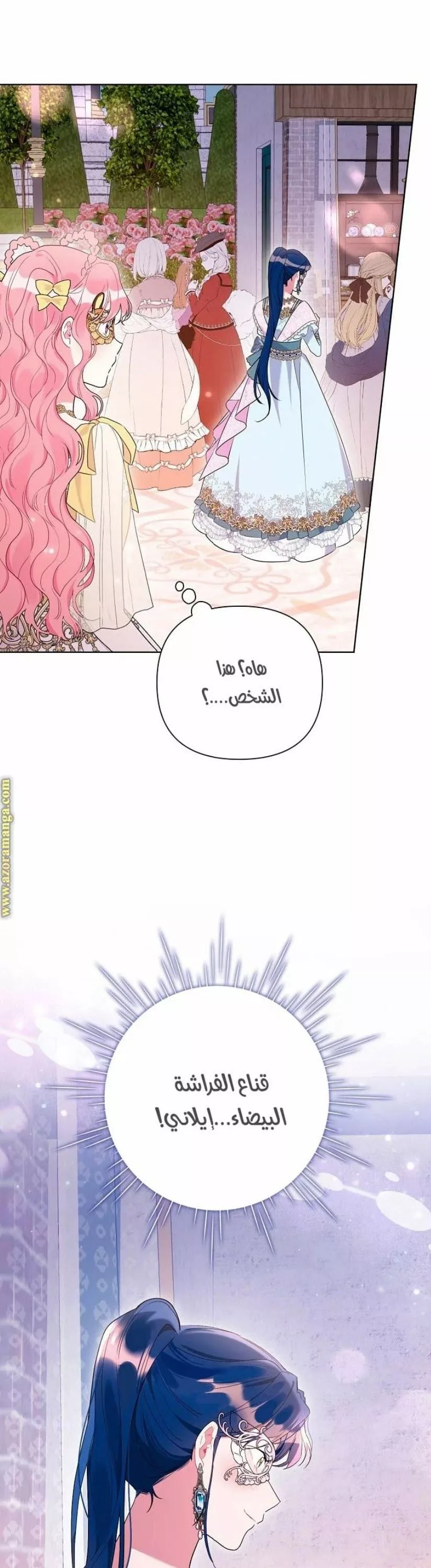 الصفحة 17