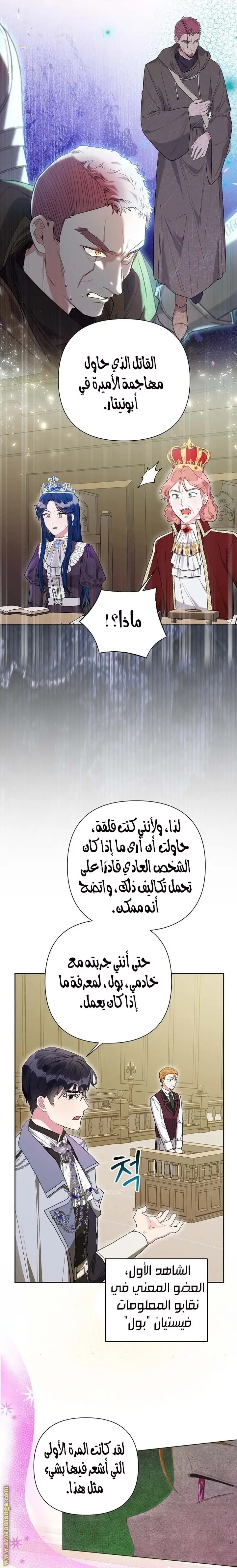 الصفحة 17