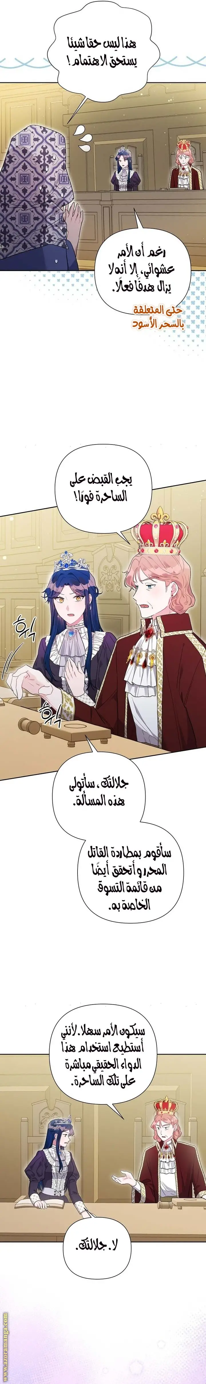 الصفحة 19