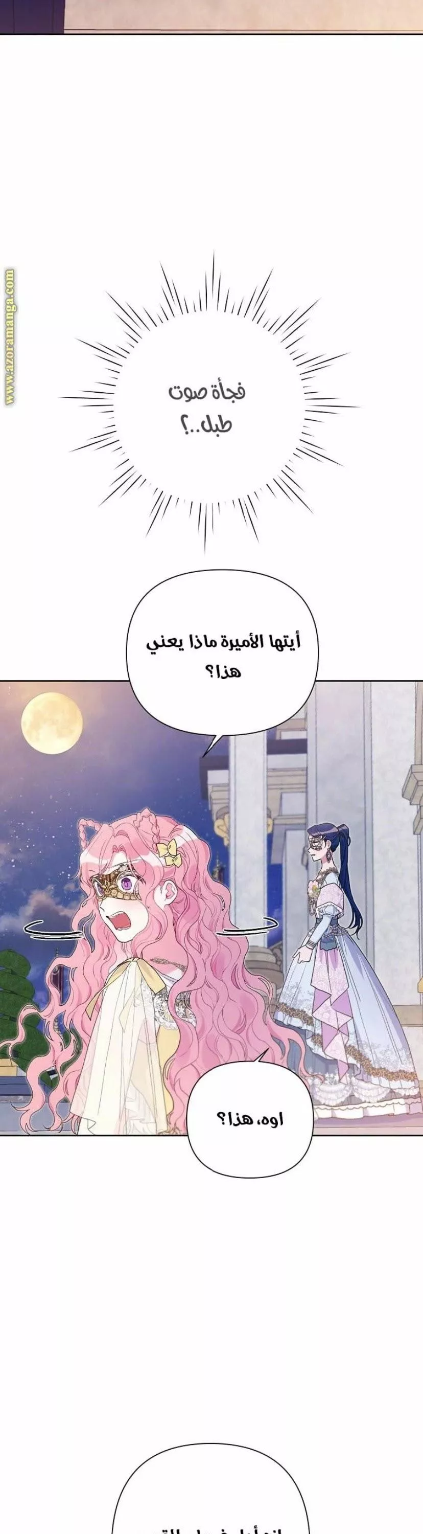 الصفحة 24