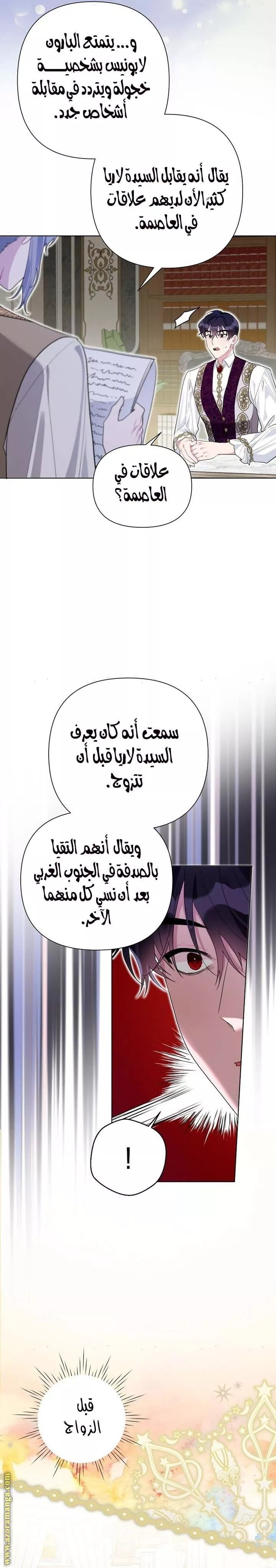 الصفحة 17