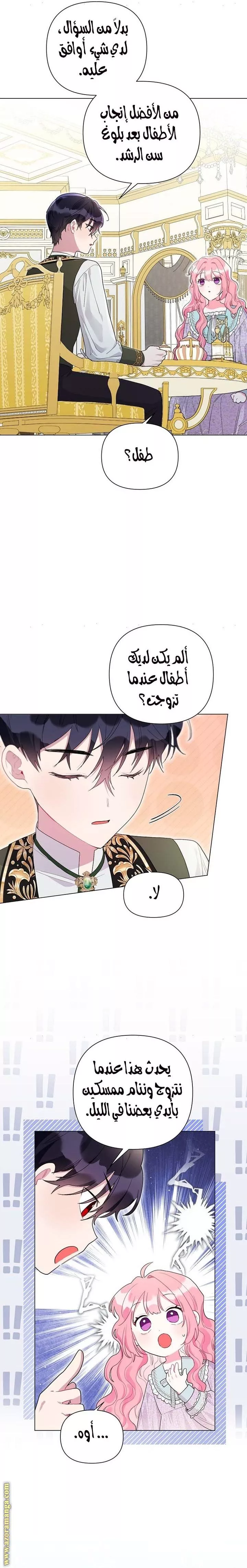 الصفحة 12