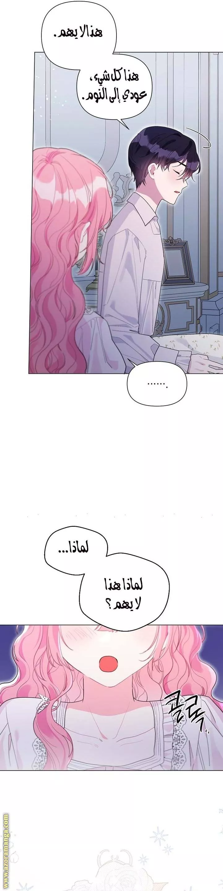 الصفحة 17