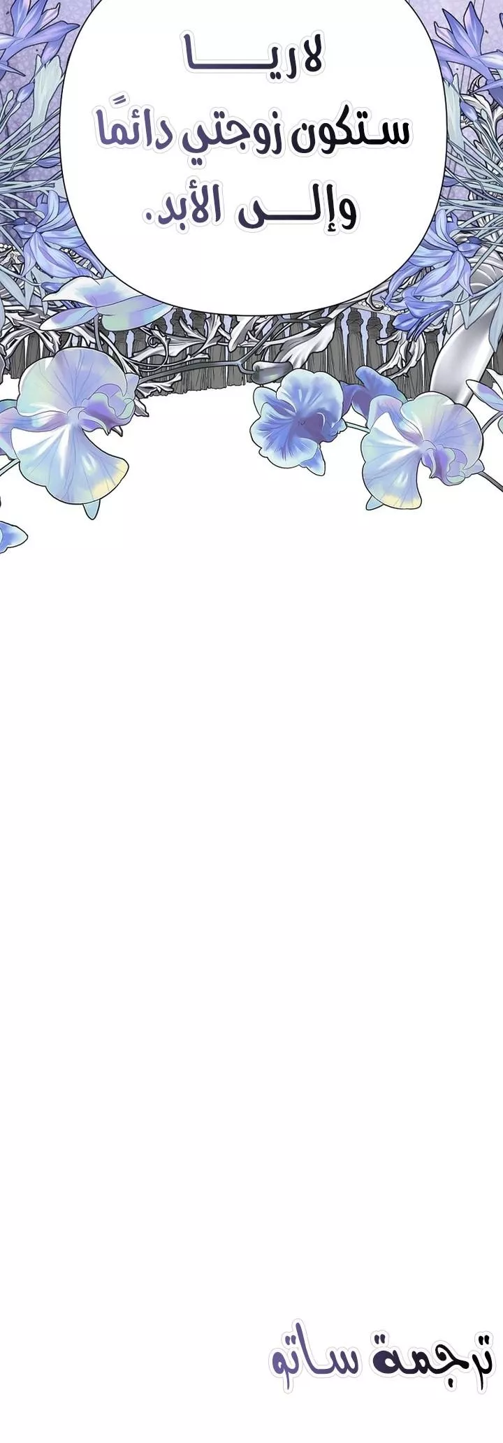 الصفحة 24