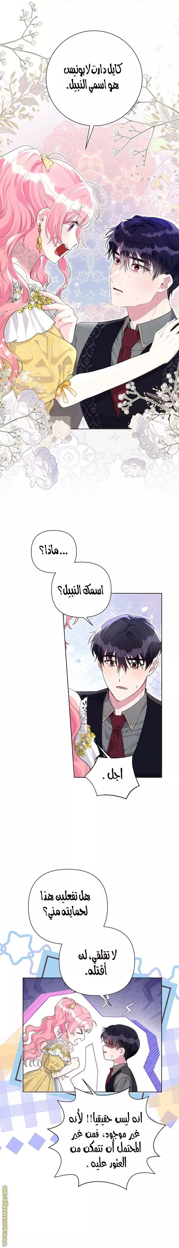 الصفحة 19