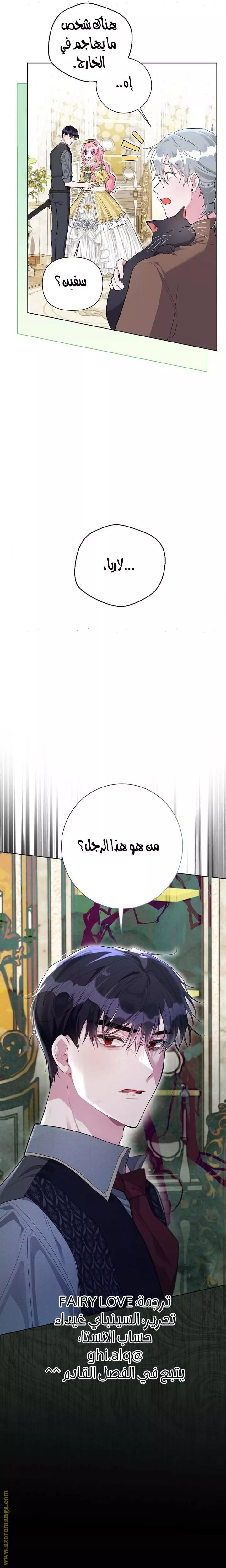الصفحة 21