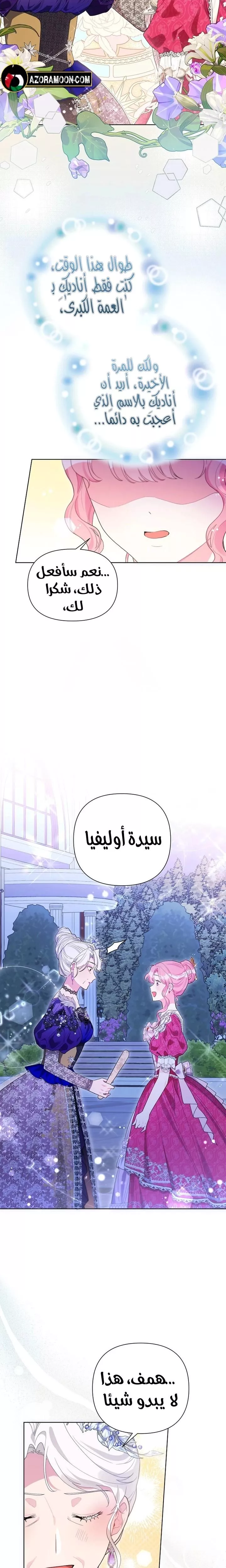 الصفحة 17