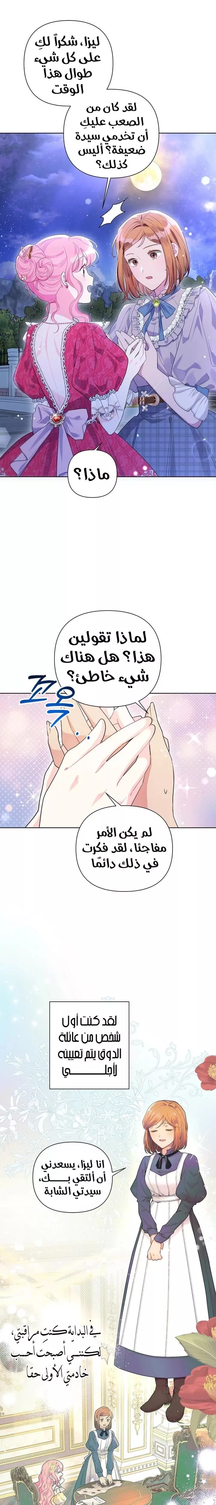 الصفحة 21