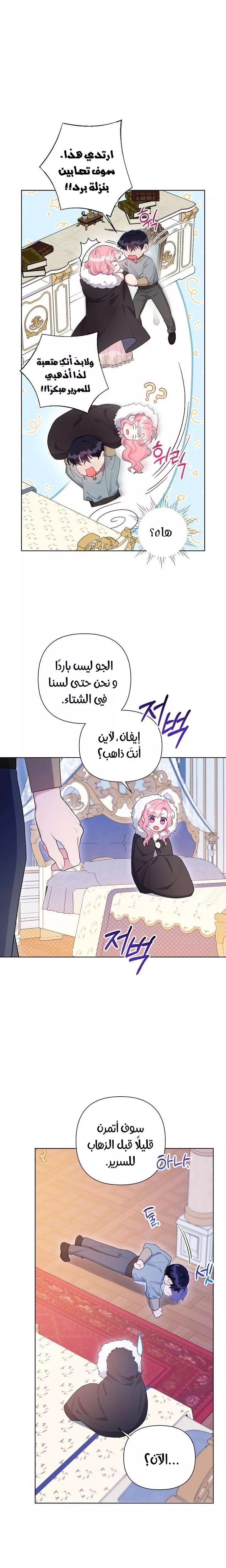 الصفحة 13