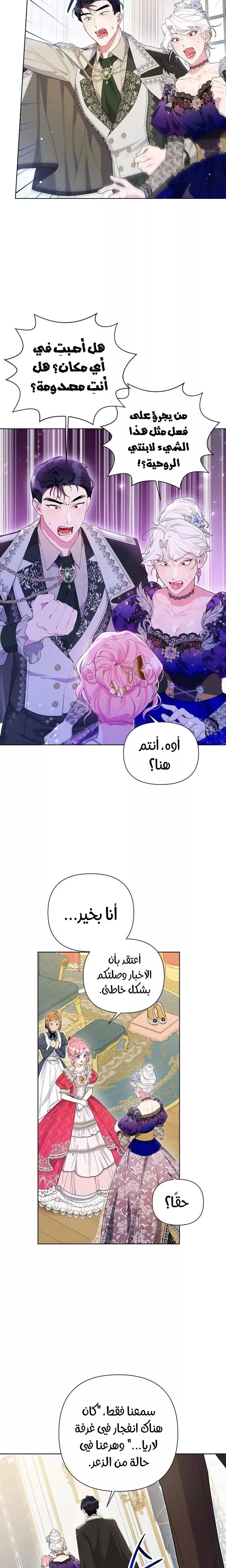 الصفحة 17
