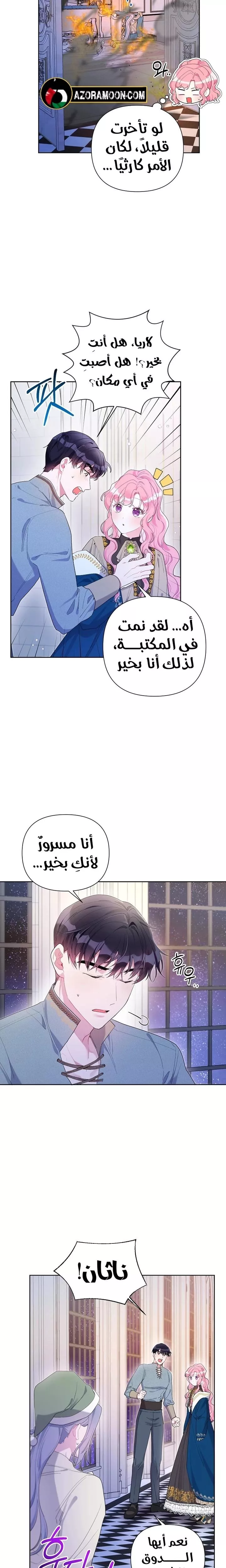 الصفحة 17