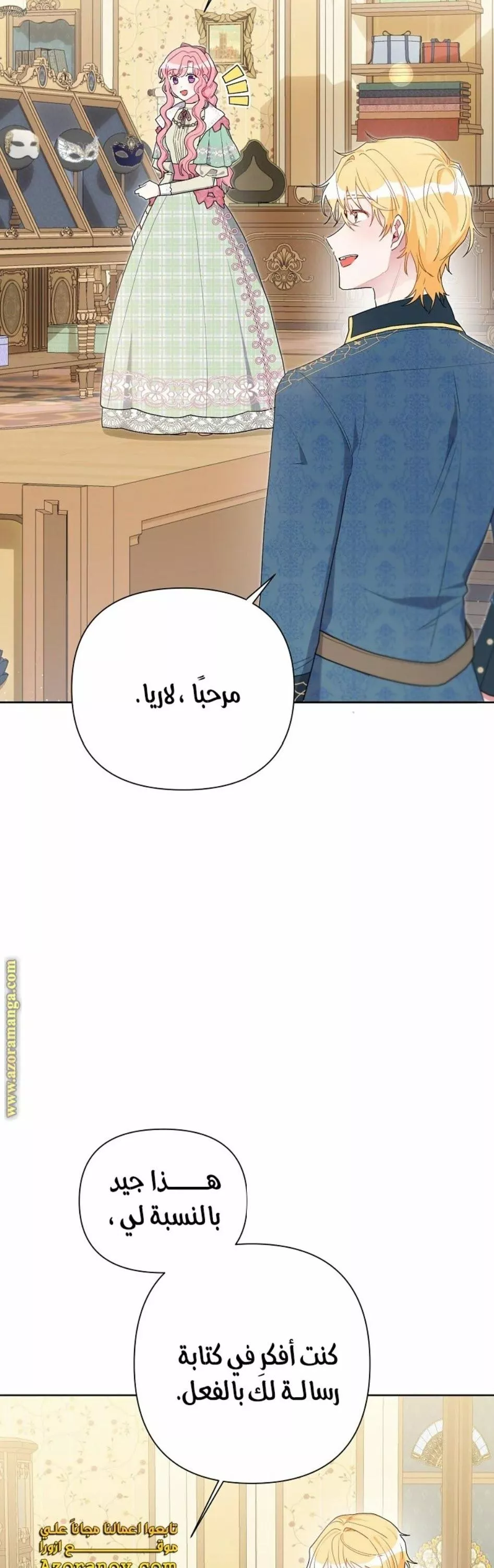 الصفحة 29