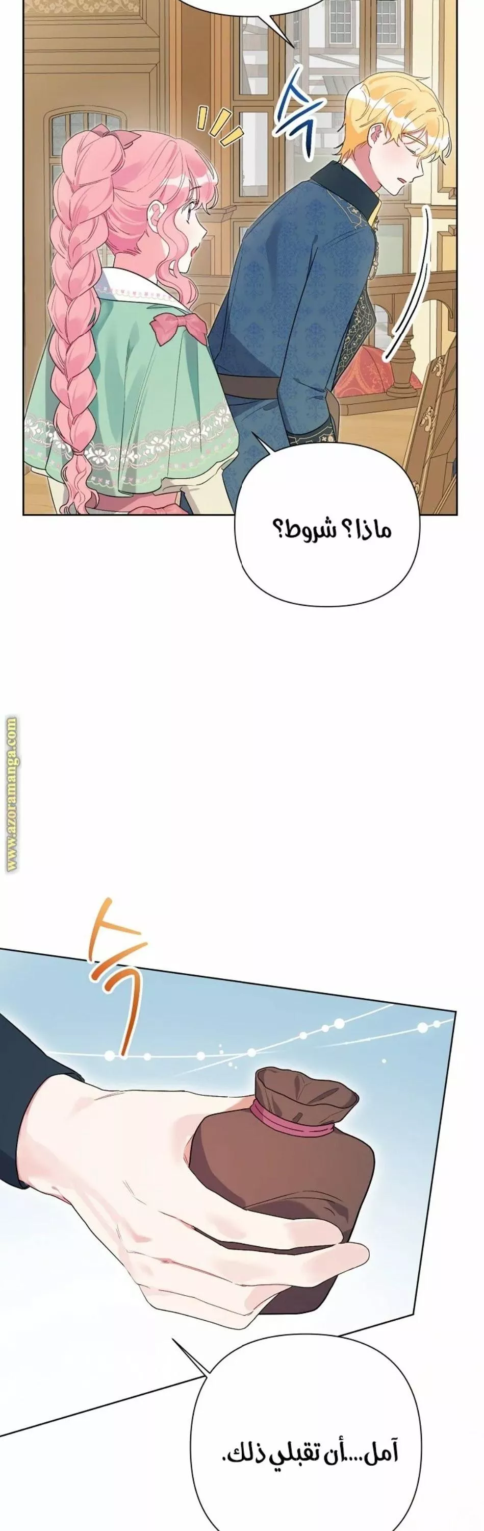 الصفحة 42