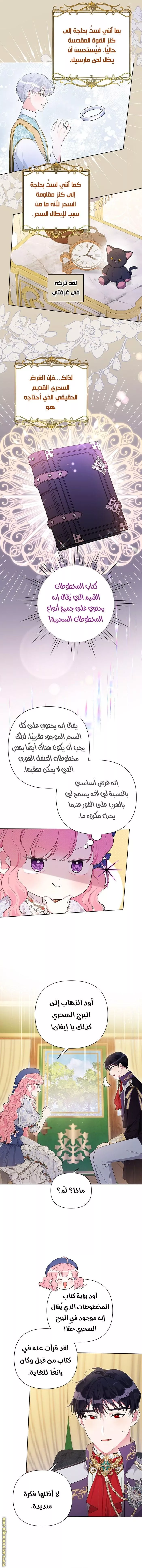 الصفحة 5