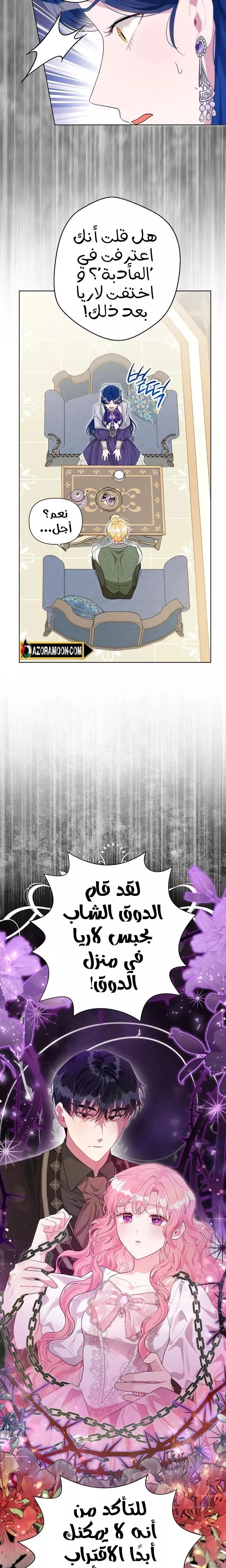 الصفحة 19