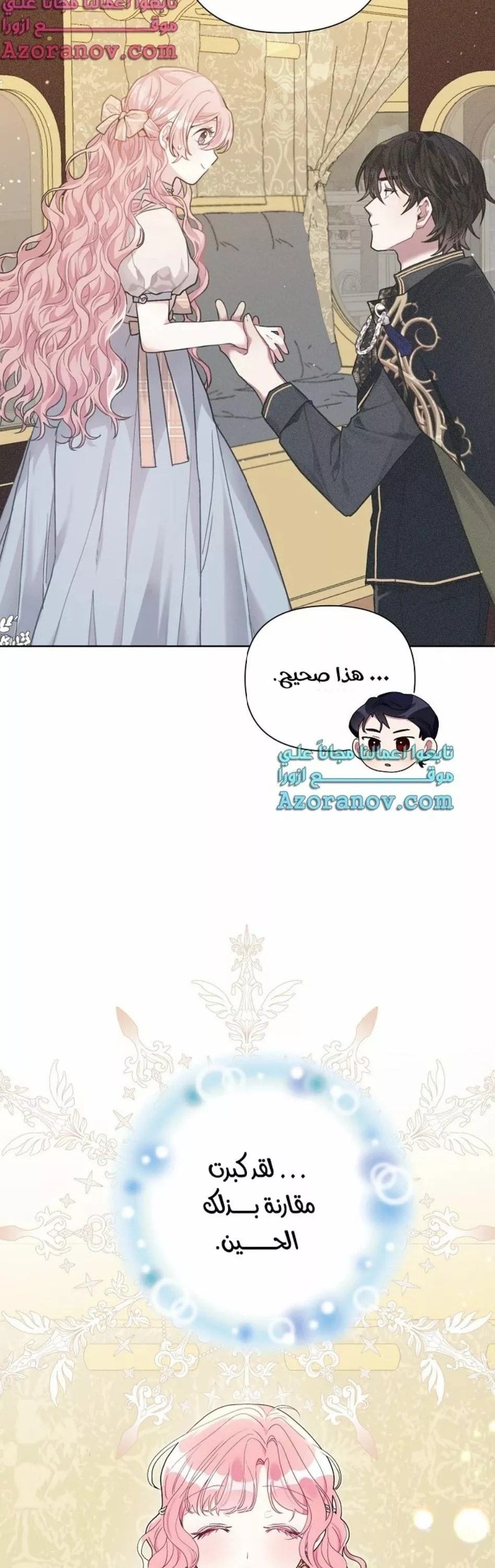 الصفحة 29
